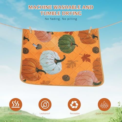 IEUUMLER Washable Pee Pads for Dogs, 2 Pack Pumpkin Pattern Reusable Waterproof Puppy Potty Pads, Non-Slip Absorbent Pet Training Pads for Playpen Crate Bed EU016 Orange Pumpkin, 30x20