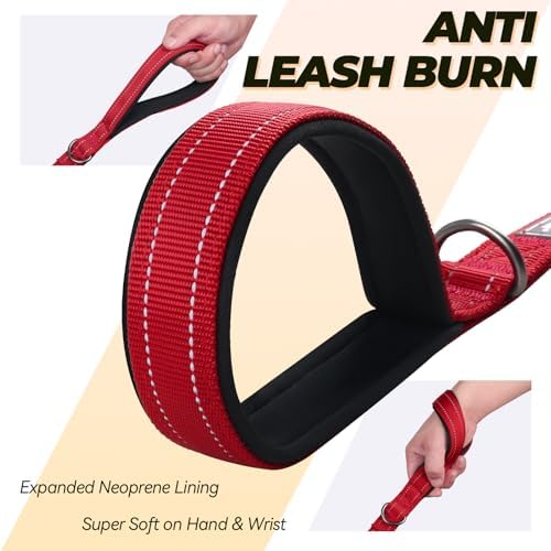 VIVAGLORY Double Handle Dog Leash Twingrip, 6ft x 1in, Red