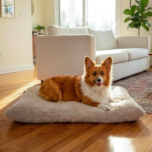 Best Friends by Sheri Comfy Crate Dog Bed Washable, Oyster, 36" x 24"