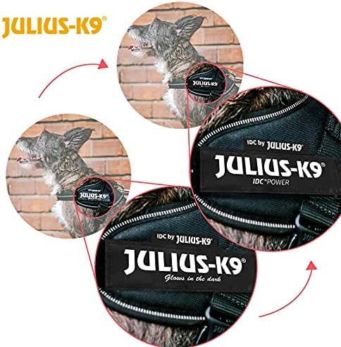 Julius-K9, 16IDC-C-3, IDC Powerharness, Dog Harness, Size: 3, Camouflage