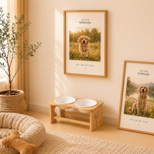Bone Elevated 7.1" Ceramic Medium Dog Bowls, Tilted Dog Bowl Stand