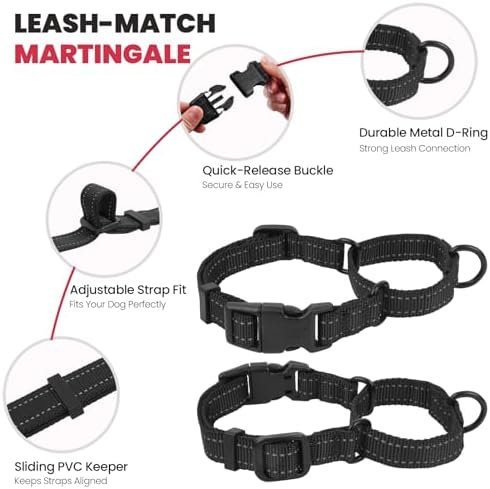 VIVAGLORY Double Handle Dog Leash Twingrip, 5ft x 1in, M, Black