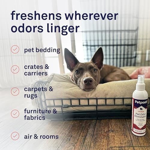 Petpost | Pet Odor Eliminator Spray for Dogs & Cats - Naturally Effective Deodorant and Bad Smell Killer - For Spraying Your Pet or Around the Home 8 oz.