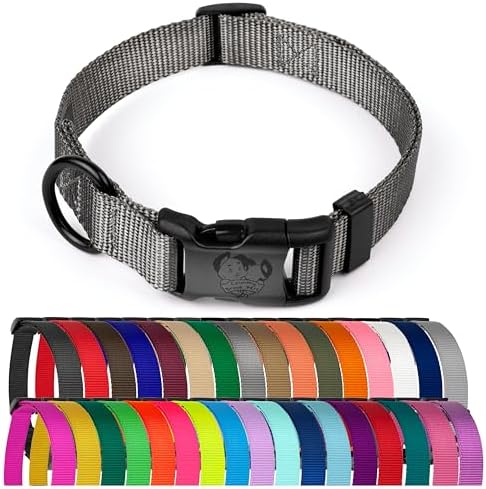 Country Brook Petz - Everyday Nylon Dog Collar for Large, Medium, and Small Dogs and Puppies - for Everyday Use in 30+ Colors (Small, 3/4 Inch Wide, Charcoal)