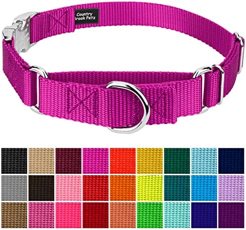Country Brook Petz - Martingale Dog Collar - Heavy Duty Nylon Adjustable Martingale Dog Collar with Metal Buckle for Small Medium Large Breeds - 30+ Color Options (1 Inch, Medium, Fuchsia)