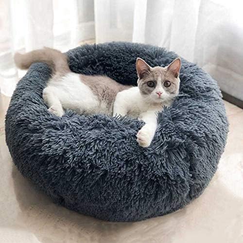 Modern Soft Plush Round Pet Bed for Cats or Small Dogs, Mini Medium Sized Dog Cat Bed Self Warming Autumn Winter Indoor Snooze Sleeping Cozy Kitty Teddy Kennel (20''D x 8'' H, Dark Grey)
