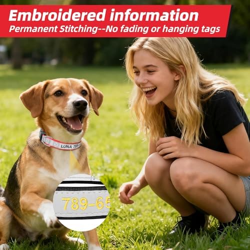 Personalized Reflective Dog Collar, Embroidered Name & Phone Number