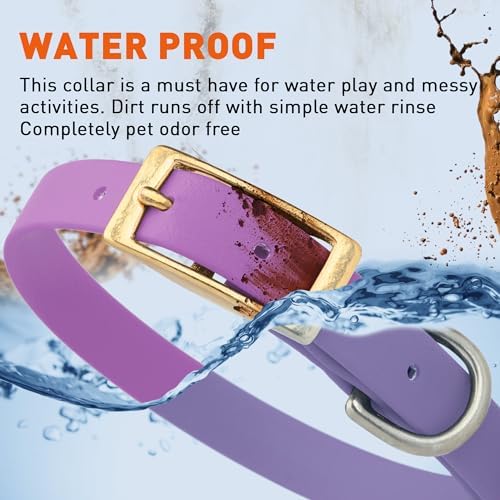 Viper Biothane Heavy Duty Waterproof Dog Collar Strong Coated Nylon Webbing w/Solid Brass Hardware Odor-Proof for Easy Care to Clean High Performance Fits Small Medium or Large Dogs, Amethyst Purple