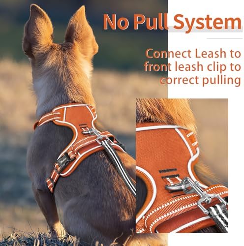 HEELE Dog Harness for Large Dogs No Pull Dog Vest Harness for Large Dog with Soft Padded Handle Reflective for Outdoor Training, Pumpkin Orange, XL