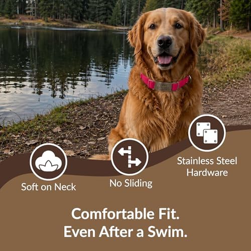 dogIDs Personalized Quick Release Waterprooft ScruffTag Dog Collar - Built-in Custom Laser Engraved Nameplate, Odor Resistant - Magenta, 5/8 in x 11-14 in (Fits Neck Sizes: 11-14 in)