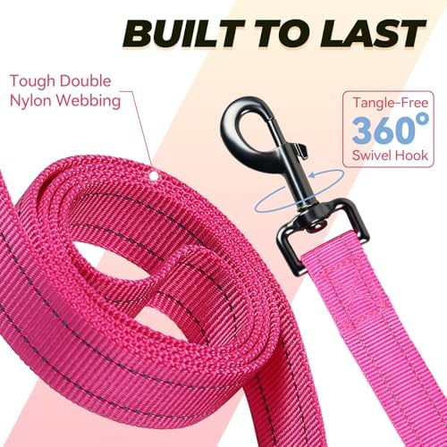 VIVAGLORY Double Handle Dog Leash Twingrip, 4ft x 1in, Pink