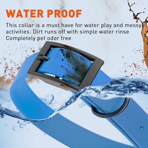 Dogline Biothane Waterproof Dog Collar Strong Coated Nylon Webbing with Black Hardware Odor- Proof for Easy Care Easy to Clean High Performance Fits Small Medium or Large Dogs, Cerulean Blue