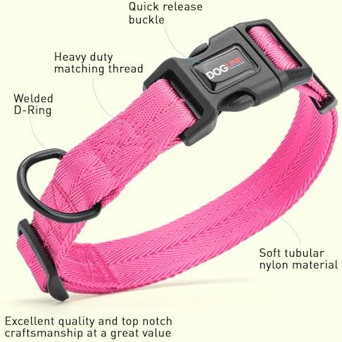 Dogline Hot Pink Customizable Personalized Nylon Collar (W: 3/4" L: 13"-20")