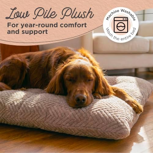 Best Friends by Sheri Comfy Crate Dog Bed Washable, Mushroom, 42" x 28"