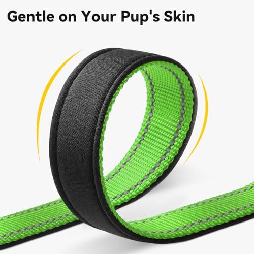 Joytale Personalized Dog Collar with Name Plate Built-in for Small Dogs