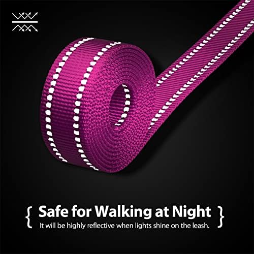 PHOEPET 5 Feet Dog Leash - Dual-Side Reflective - Soft Padded Handle