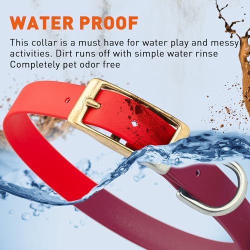 Viper Biothane Heavy Duty Waterproof Dog Collar Strong Coated Nylon Webbing w/Solid Brass Hardware Odor-Proof Easy to Clean High Performance Fits Small Medium or Large Dogs, Cherry Red