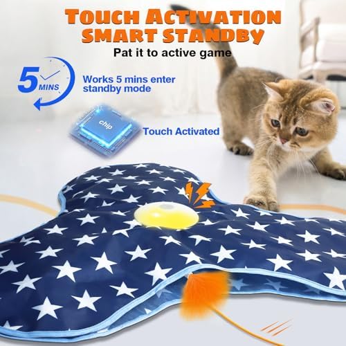 Oxawo Cat Toys Interactive Hide and Seek Cat Game