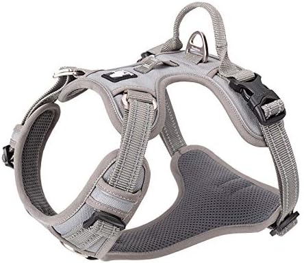 WINHYEPET True Love No Pull Dog Harness Extra Reflective Pet Harness for Small Medium Large Dogs Adjustbale for Running Walking Padded Soft Mesh Vest Easy Control TLH56512(Gray,S)