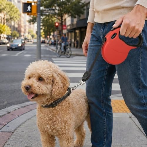 Small 13 FT Retractable Dog Leash – Hands-Free Adjustable Leash for Dogs Up to 22lbs, Tangle-Free Nylon with Ergonomic Grip for Walking, Training & Outdoor Safety Red S