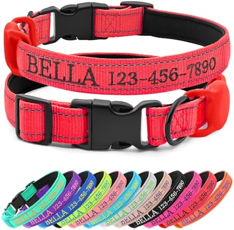 Personalized Nylon Dog Collar with Embroidered Name, Red