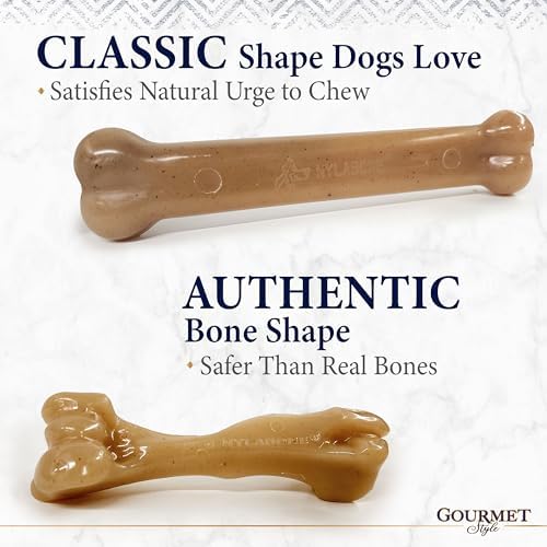 Nylabone Strong Chew Gourmet Style Dog Chew Toy Bundle, Large, 3 Count