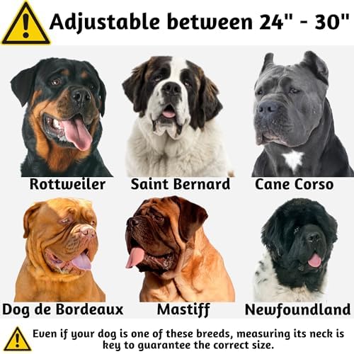 ADITYNA Heavy Duty Girl Dog Collar for Extra-Large Dogs with Traffic Handle
