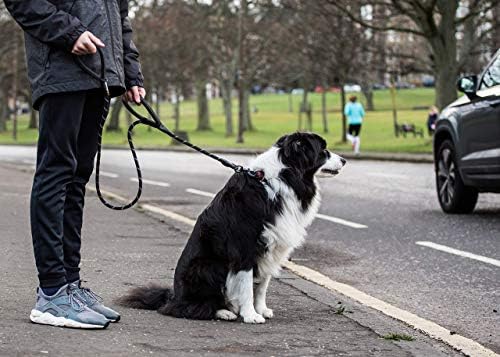 Sweetie Rope Dog Lead Strong Leash Black with 2 Comfortable Padded Handles, 151 g