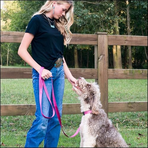 Country Brook Petz - Everyday Nylon Dog Collar for Large, Medium, and Small Dogs and Puppies - for Everyday Use in 30+ Colors (Small, 3/4 Inch Wide, Rose)