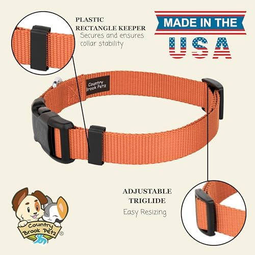 Country Brook Petz - Everyday Nylon Dog Collar for Large, Medium, and Small Dogs and Puppies - for Everyday Use in 30+ Colors (Large, 1 Inch Wide, Coral)