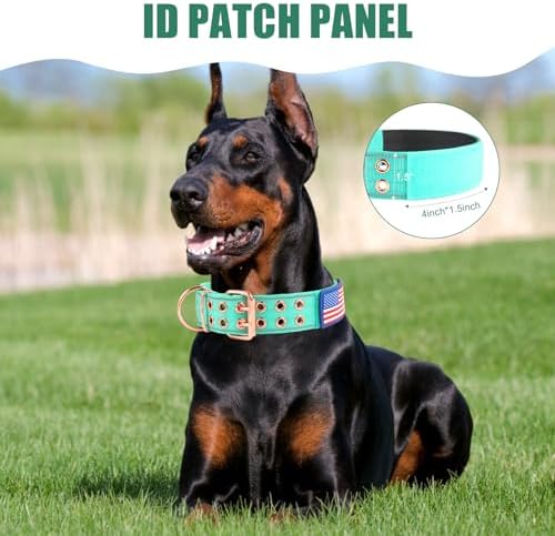 Heavy Duty Dog Collar for Medium Large Dogs,Teal,Large