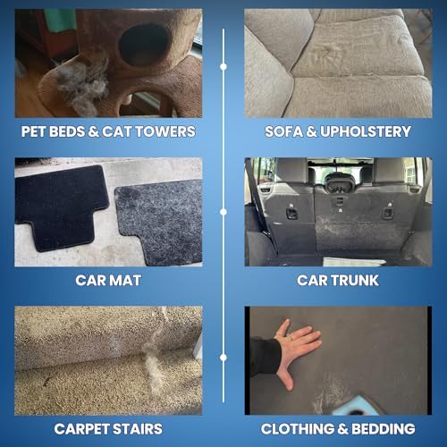 Upgrade Pet Hair Removal Tool for Car Detailing, Couch, Carpet & Furniture