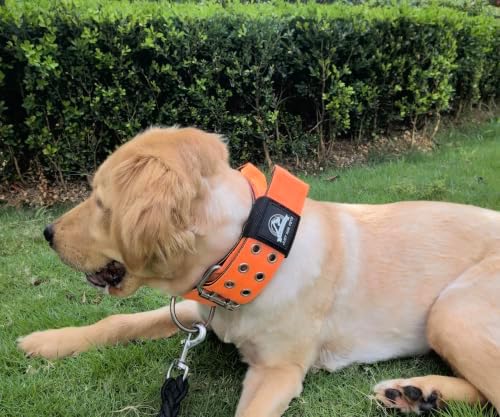 4-Layer Nylon Dog Collar,Heavy Duty Dog for Large Dogs,Orange L