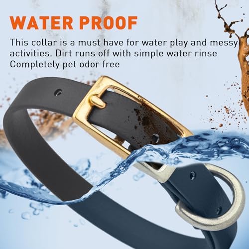 Viper Biothane Heavy Duty Waterproof Dog Collar Strong Coated Nylon Webbing w/Solid Brass Hardware Odor-Proof Easy to Clean High Performance Fits Small Medium or Large Dogs, Black