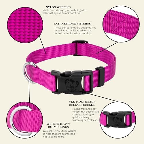 Country Brook Petz - Everyday Nylon Dog Collar for Large, Medium, and Small Dogs and Puppies - for Everyday Use in 30+ Colors (Small, 3/4 Inch Wide, Fuchsia)
