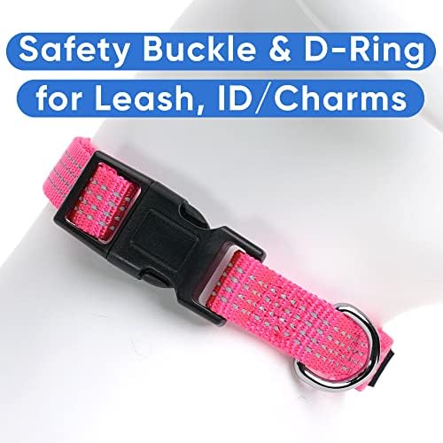 Pawtitas Reflective Dog Collar for X-Small Dogs – Adjustable Nylon Puppy Collar with Quick-Release Buckle | Fits Neck 8–13 in | Night Safety Training Collar | XS | Pink