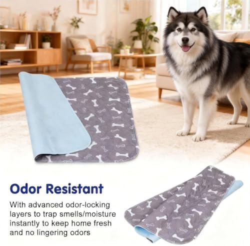 Puppy Pee Pads with Pheromones,Washable Pee Pads for Dogs,Reusable Puppy Potty Pads Washable for Dogs & Cats,Washable,Durable Leak-Proof & Anti-Slip Pet Training Pads for Home & Travel (White, M)