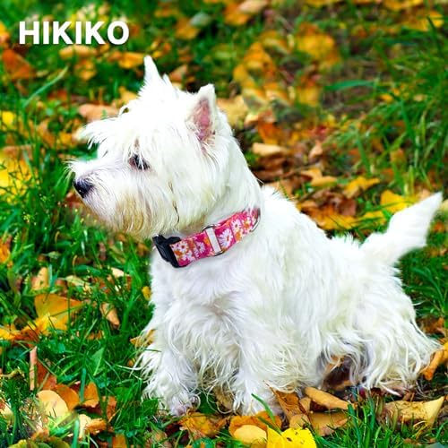 Hikiko Martingale Collar for Dogs with Special Pattern,Adjustable,L