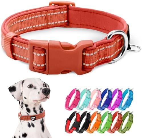 azuza Reflective Dog Collar, Neoprene Padded Large Dog Collar, Rust Red, L