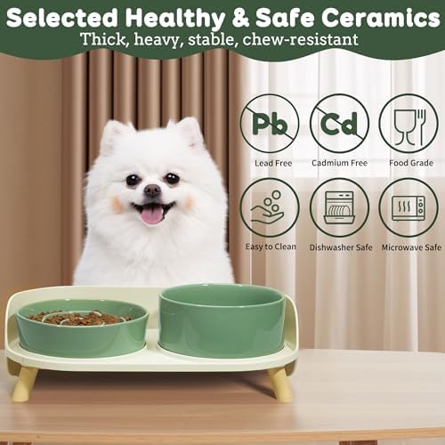 Elevated Slow Feeder Dog Bowls with Splash Proof Stand, Slow Eating 5X