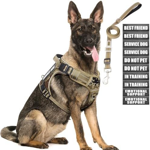 Tactical Dog Harness and Leash Set with 10 Patches for Large Dogs