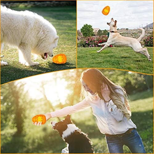 Lasts 6X Longer Chew Toy for Power Chewers, Indestructible for Training