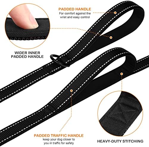 Joytale Dog Leash for Large Dogs that Pull, Double Handle, 4FT, Black