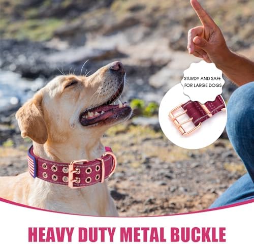Heavy Duty Dog Collar for Medium Large Dogs,Wine Red,Large
