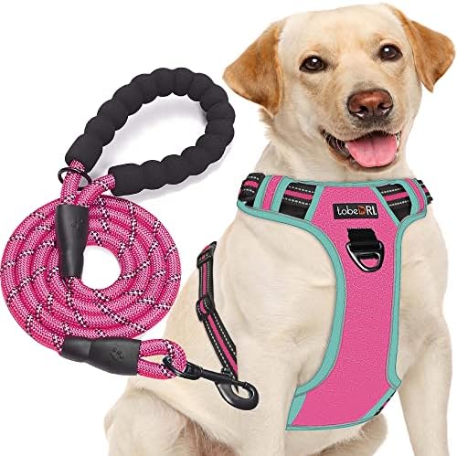 tobeDRI No Pull Dog Harness Adjustable Reflective Oxford Easy Control Medium Large Dog Harness with A Free Heavy Duty 5ft Dog Leash, Pink/Blue, XL