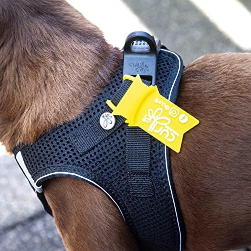 Curli Vest Harness Air-Mesh Skyblue S