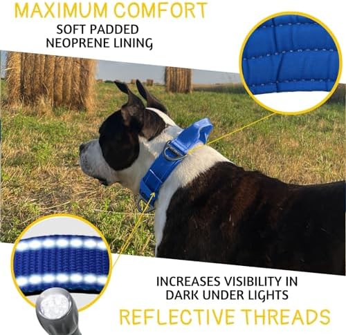 ADITYNA Heavy Duty Dog Collar for Medium Dogs with Traffic Handle