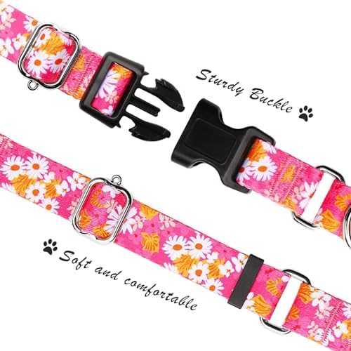 Hikiko Martingale Collar for Dogs with Special Pattern,Adjustable,L