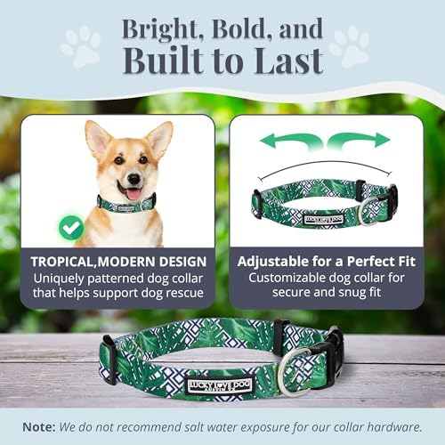 Lucky Love Dog Collar and Leash Set for Small Dogs – Blue Laguna, Small