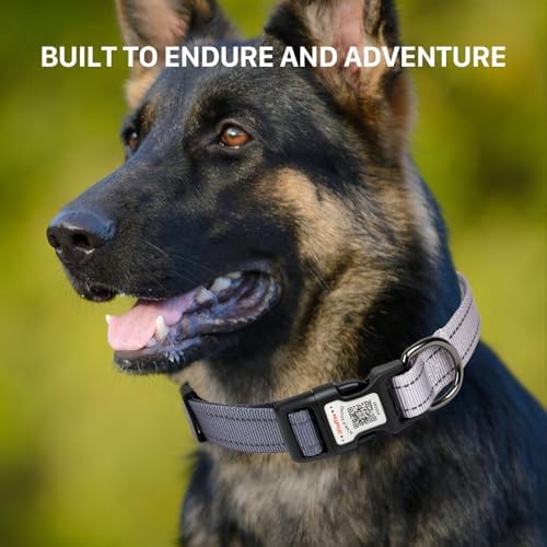 Personalized Dog Collar with QR Code Dog Tag, Black&Gray M
